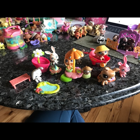 Littlest Pet Shops! - Picture 2 of 16
